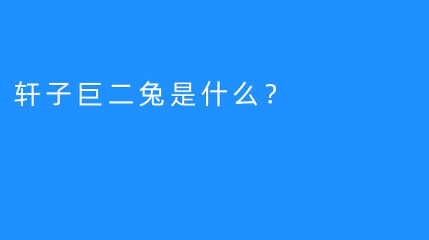 轩子巨二兔是什么？