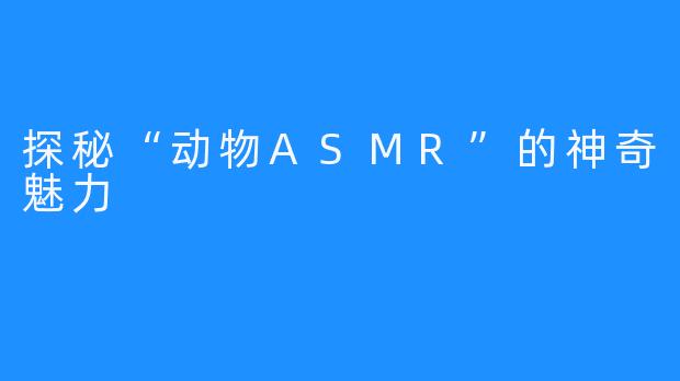 探秘“动物ASMR”的神奇魅力