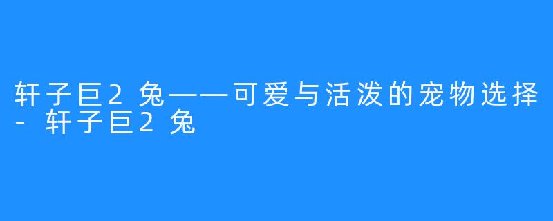 轩子巨2兔——可爱与活泼的宠物选择-轩子巨2兔