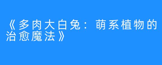 《多肉大白兔：萌系植物的治愈魔法》