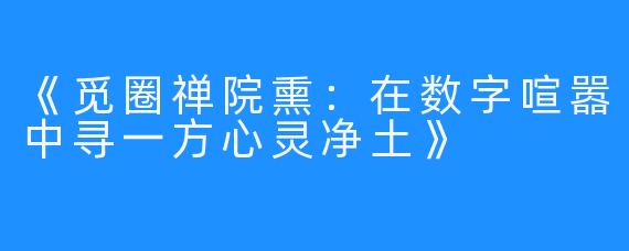 《觅圈禅院熏：在数字喧嚣中寻一方心灵净土》