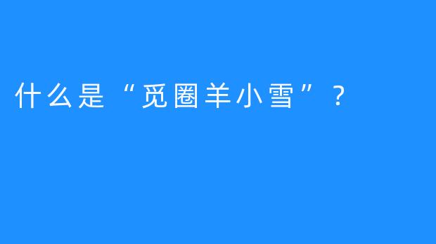 什么是“觅圈羊小雪”？