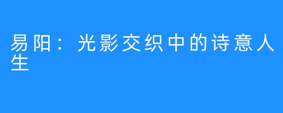 易阳：光影交织中的诗意人生