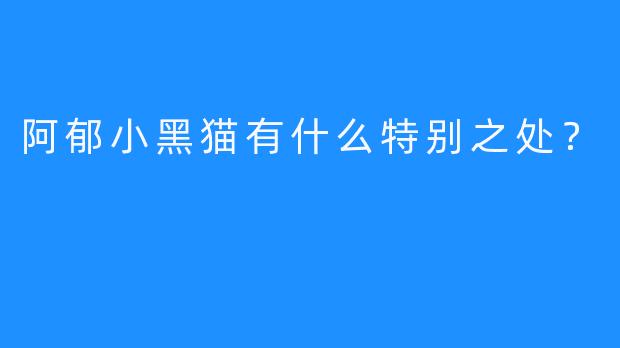 阿郁小黑猫有什么特别之处？