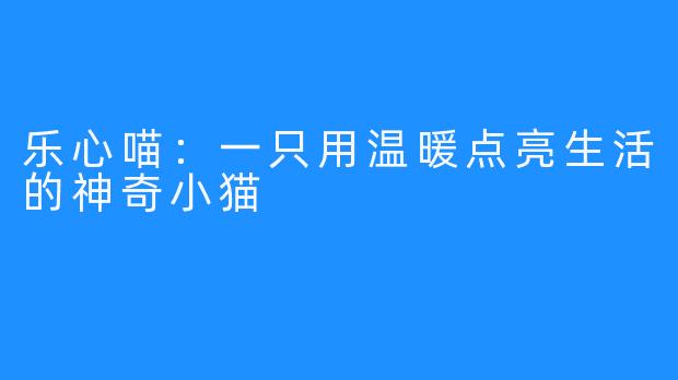 乐心喵：一只用温暖点亮生活的神奇小猫