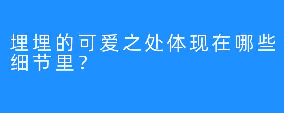 埋埋的可爱之处体现在哪些细节里？