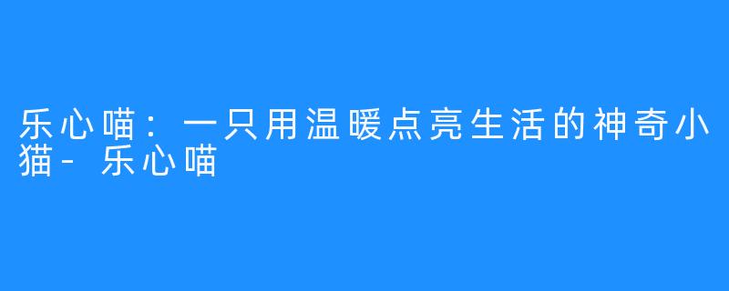 乐心喵：一只用温暖点亮生活的神奇小猫-乐心喵