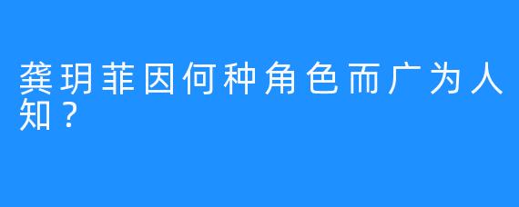 龚玥菲因何种角色而广为人知？
