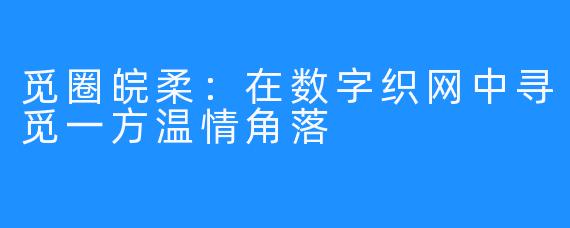 觅圈皖柔：在数字织网中寻觅一方温情角落