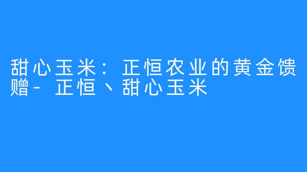甜心玉米：正恒农业的黄金馈赠-正恒丶甜心玉米