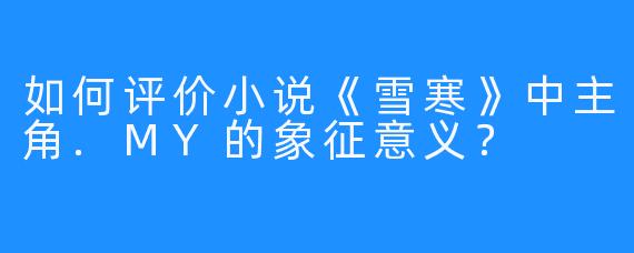 如何评价小说《雪寒》中主角.MY的象征意义？