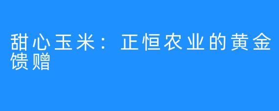 甜心玉米：正恒农业的黄金馈赠