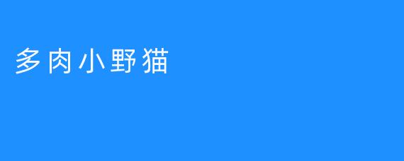 多肉小野猫