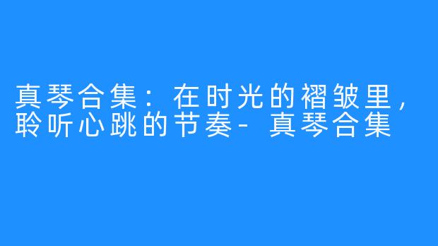 真琴合集：在时光的褶皱里，聆听心跳的节奏-真琴合集