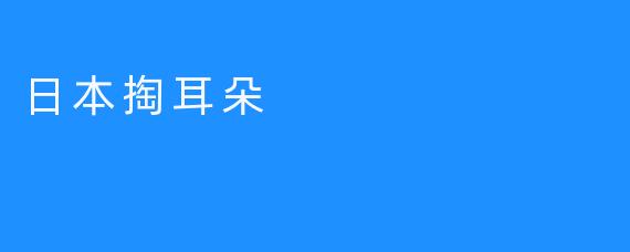 日本掏耳朵