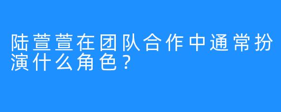 陆萱萱在团队合作中通常扮演什么角色？