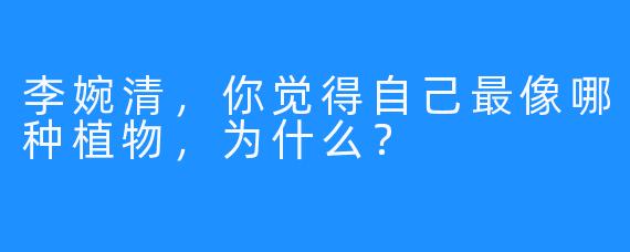 李婉清，你觉得自己最像哪种植物，为什么？