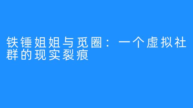 铁锤姐姐与觅圈:一个虚拟社群的现实裂痕