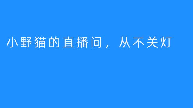 小野猫的直播间，从不关灯