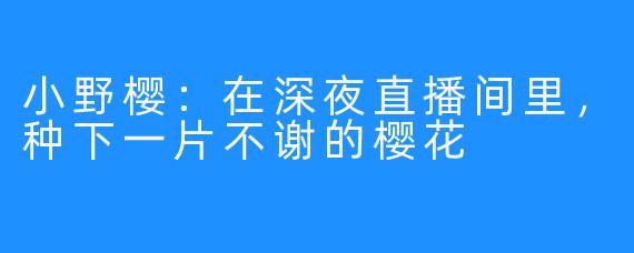 小野樱：在深夜直播间里，种下一片不谢的樱花