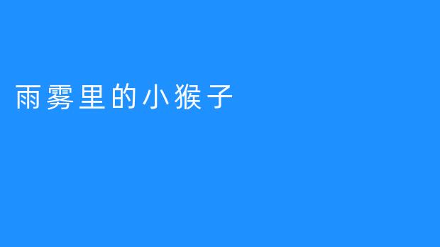 雨雾里的小猴子