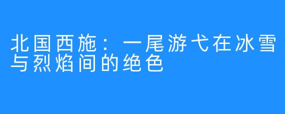 北国西施：一尾游弋在冰雪与烈焰间的绝X  