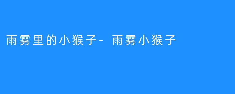雨雾里的小猴子-雨雾小猴子
