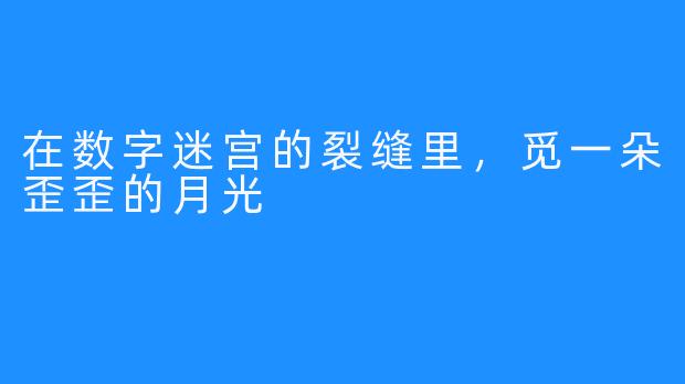 在数字迷宫的裂缝里，觅一朵歪歪的月光