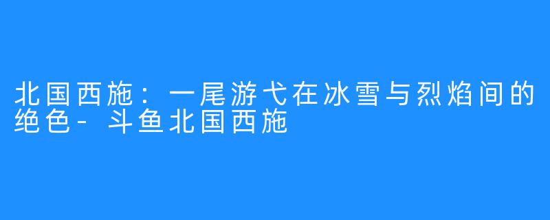 北国西施:一尾游弋在冰雪与烈焰间的绝X -斗鱼北国西施