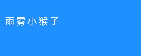 雨雾小猴子